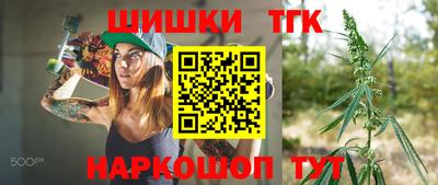 МДПВ Дубна