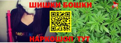 МДПВ Дубна