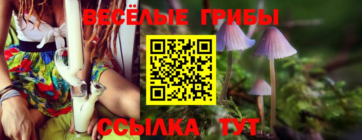Галлюциногенные грибы мухоморы Балтийск